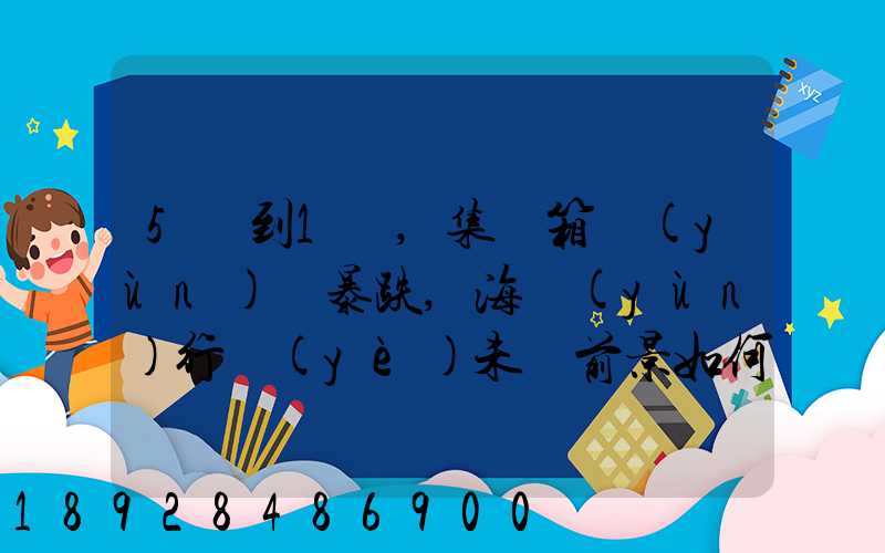 5萬到1萬,集裝箱運(yùn)價暴跌,海運(yùn)行業(yè)未來前景如何