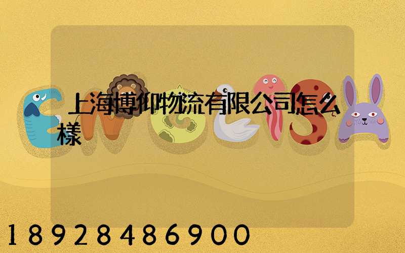 上海博仰物流有限公司怎么樣