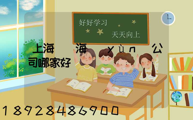 上海國際海運(yùn)公司哪家好