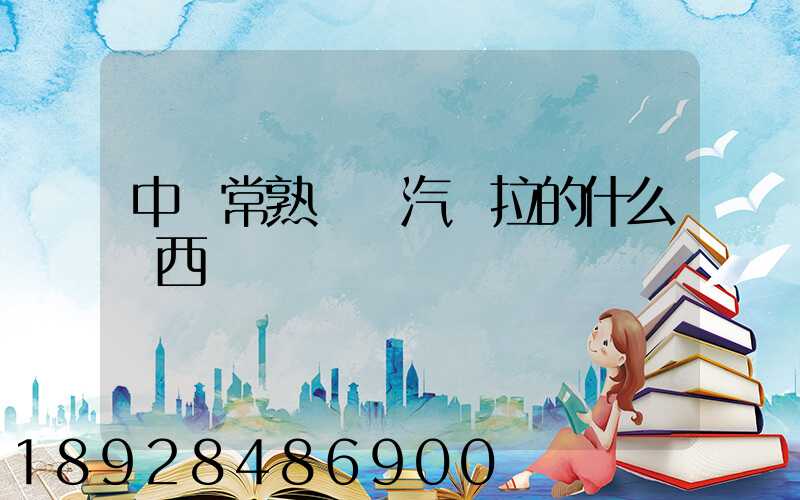 中國常熟華東汽車拉的什么東西