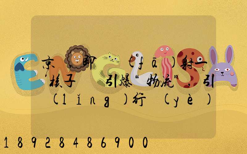 京東,即將發(fā)射一個核子彈將引爆“物流”,引領(lǐng)行業(yè)前進