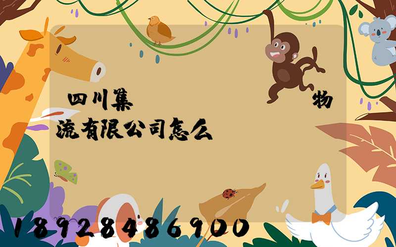 四川集運(yùn)國際物流有限公司怎么樣