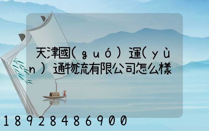 天津國(guó)運(yùn)通物流有限公司怎么樣