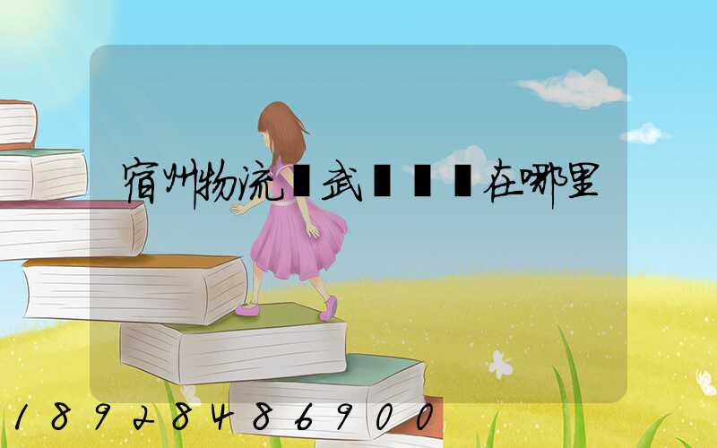 宿州物流園武漢專線在哪里