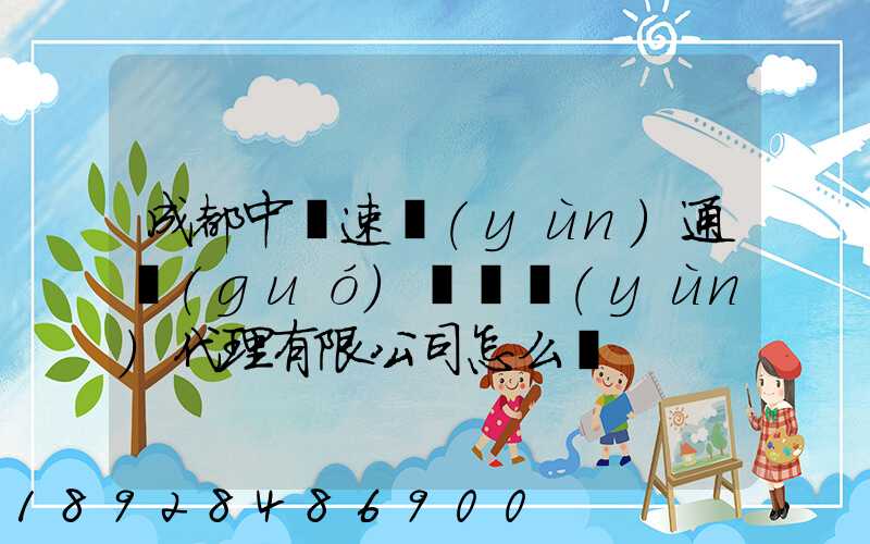 成都中歐速運(yùn)通國(guó)際貨運(yùn)代理有限公司怎么樣