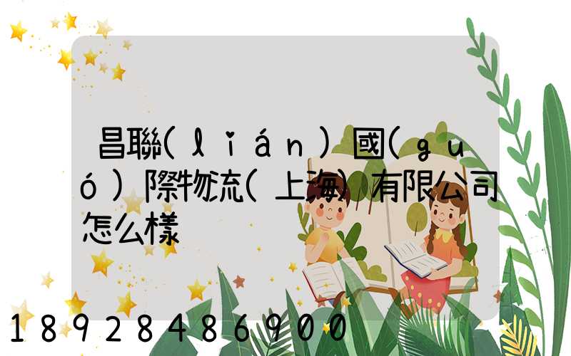 昌聯(lián)國(guó)際物流(上海)有限公司怎么樣