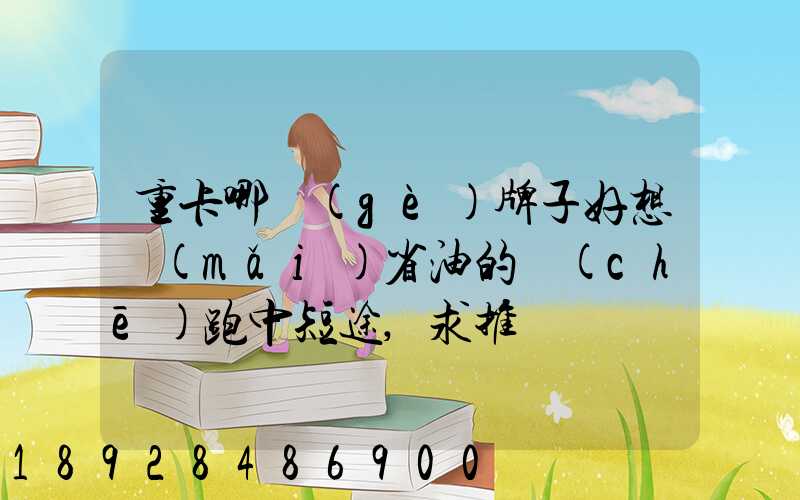 重卡哪個(gè)牌子好想買(mǎi)省油的車(chē)跑中短途,求推薦