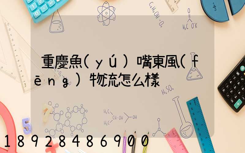 重慶魚(yú)嘴東風(fēng)物流怎么樣