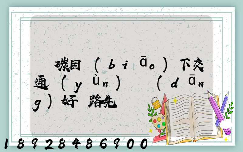 雙碳目標(biāo)下交通運(yùn)輸當(dāng)好開路先鋒
